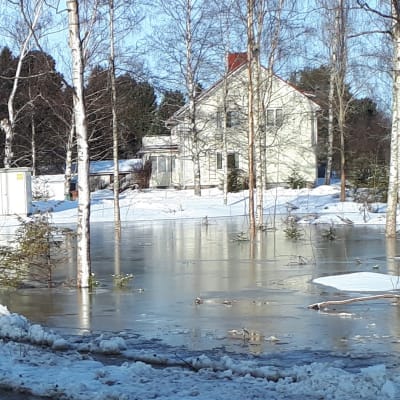Vettä asuinalueen pihoilla
