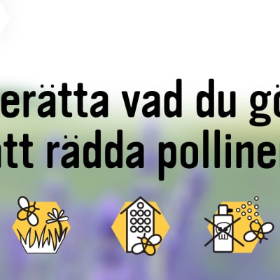 Grafikbild med vinjetter aom visar hur man kan rädda pollinerare.