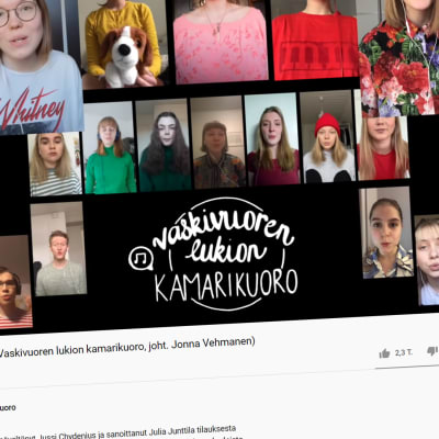 Kuvakaappaus Youtubesta Vaskivuoren lukion kamarikuoron Pelottomien riemulaulu -videosta.
