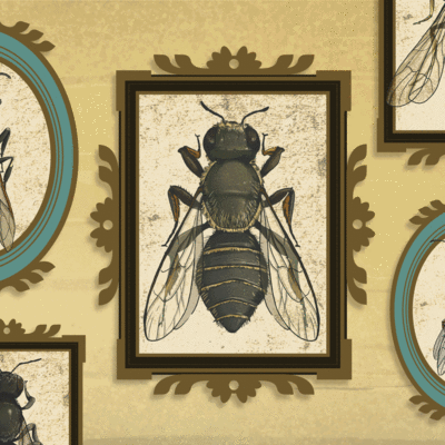 Animaatio mehiläisistä ja ampiaisista erilaisissa kehyksissä