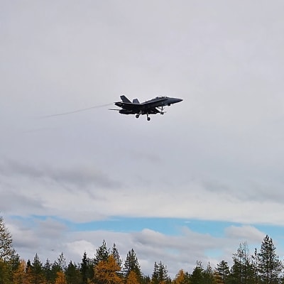 Hornet lentää taivaalla.