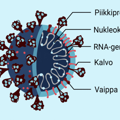 Koronavirus