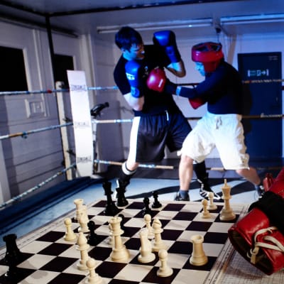 Etualalla shakkilauta, jolla keskeneräinen peli ja punainen nyrkkeilyhanska. Taustalla nyrkkeilykehä, jossa ottelu meneillään.