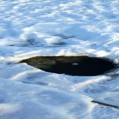 Här trillade ett barn igenom isen i Hammars i Borgå 10.02.21