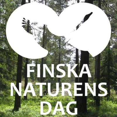 En bild av skog med texten "Finska naturens dag"