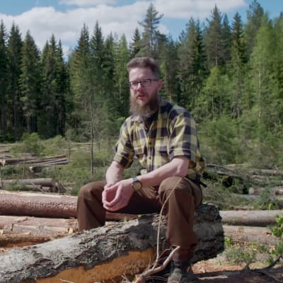 Metsäkoneyrittäjä Tero Kurula istuu hakkuuaukiolla kaadettujen tukkien päällä kesäisenä päivänä. 