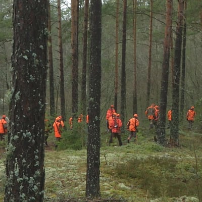 Vargjägarna i Virmo hade problem med snön som smälte bort i februari.