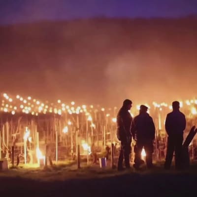 Ranskassa viininviljelijät taistelevat pakkasia vastaan