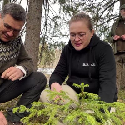 Erä- ja luonto-opasopettaja Esko Lahtinen ja palveluasiantuntija Elise Hovi katselevat pientä kuusta metsässä.