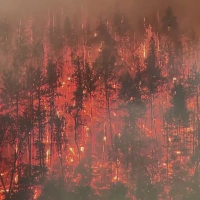 Laajalle levinnyt metsäpalo on vaatinut ihmisuhreja Kaliforniassa