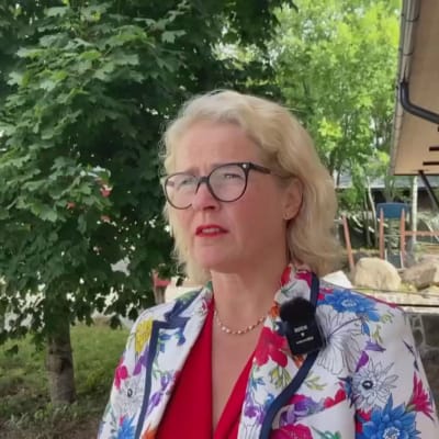 Europarlamentaarikko Miapetra Kumpula-Natri uskoo, että suomalainen kierrätysosaaminen on maan valtti kilpailussa akkutehtaista