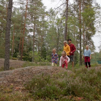 Perhe kävelee metsässä, jossa mäntyjä.
