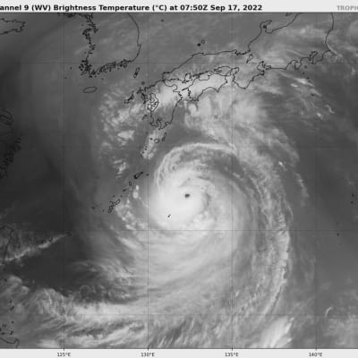 Grafiikka näyttää, kuinka taifuuni Nanmadol etenee Japanin eteläkärjen tuntumassa. Lähde: Tropicaltidbits.com