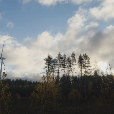 Viro löysi ratkaisun Suomeakin koskeviin tuulivoimaloiden tutkahäriöihin