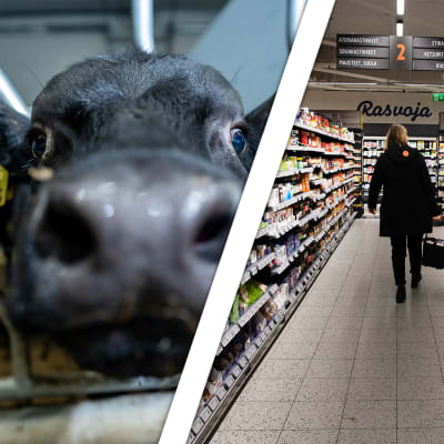 Kollage för att illustrera "Matens väg till din tallrik". Bilden visar en kalv, en matbutik och en serverad matportion.