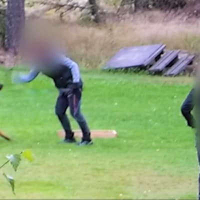 En person med blurrat ansikte slår en hund vid ett skolningstillfälle på en gräsmatta. 