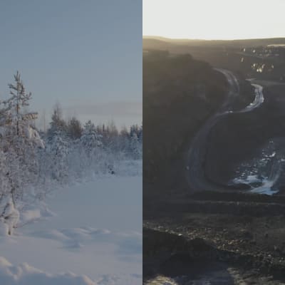 Bilden är tudelad, den enda bilden visar ett gruvlandskap, den andra delen av bilden visar snöiga granar.