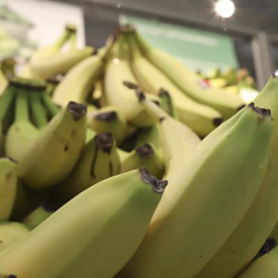 Ännu något gröna bananer till försäljning i en affär. 