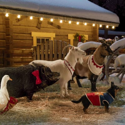 Talvipihan joulun ankka, possu, kaksi vuohta ja koira seisovat lumisella eläinpihalla.