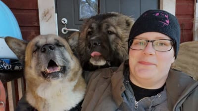 Kvinna med glasögon till höger i bild, har på sig mössa och sitter med armen runt en stor hund som sitter till vänster om henne. Bakom henne och hunden sitter en till hund.