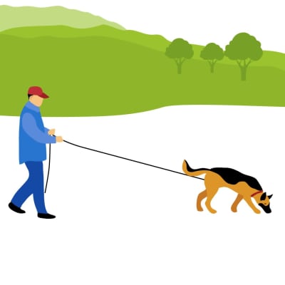 Grafisk bild som föreställer en man som går med en hund i koppel.