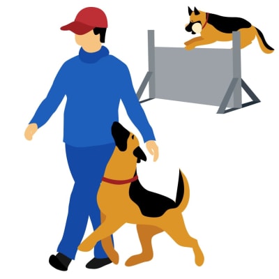 Grafisk bild som föreställer en man som går med en hund närainpå fötterna. I bakgrunden hoppar en hund över ett hinder.