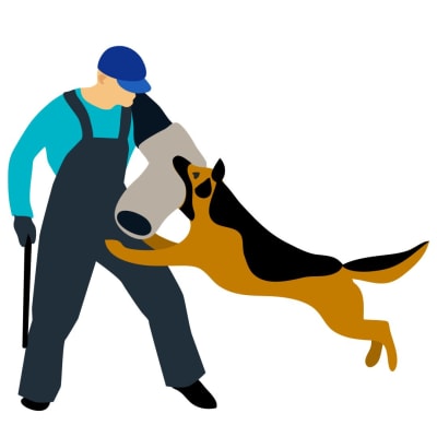 Grafisk bild som föreställer en man som skolar en hund. Hunden hoppar upp och biter mannen i ett skydd som han har över armen.
