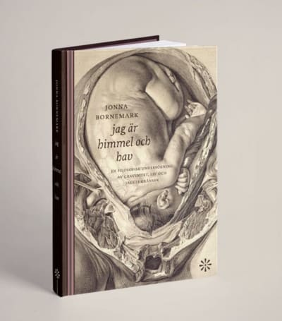 Pärmbild till Jonna Bornemarks bok ja är himmel och hav