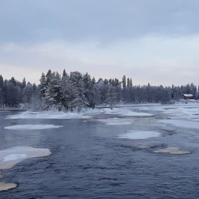 Talvinen Koitelinkoski Kiiminkijoella.