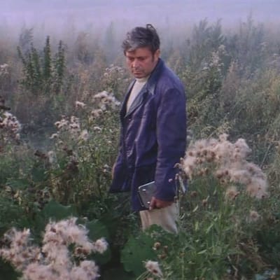 Mies seisoo niityllä mustassa takissa, kuva Andrei Tarkovskin elokuvasta Solaris, kuvassa myös teksti "Teeman elokuvafestivaali".