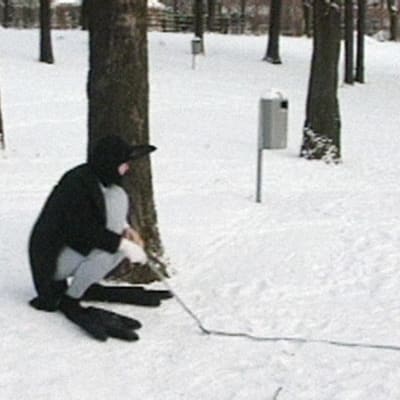 Varis virittää ansan viattomalle ohikulkijalle.