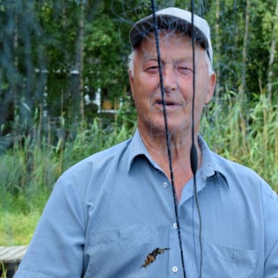 Börje Holmberg