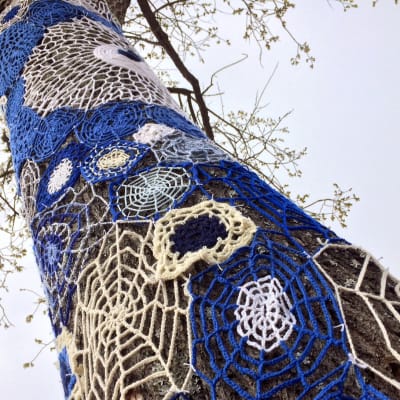 Puun runko, johon on kiinnitetty sinivalkeita virkkuutöitä neulegraffitiksi. Puuhun on puhkeamassa lehti.