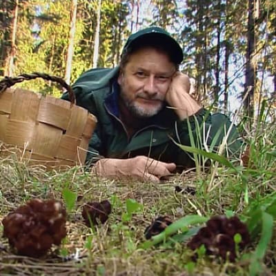 Toimittaja Pekka Myyryläinen makoilee metsässä sienikorin vieressä.