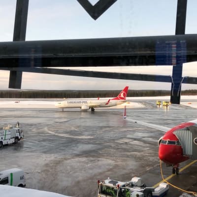 Turkish Airlinesin ensimmäinen suora lento Turkista Rovaniemelle laskeutui 5.12.2019.