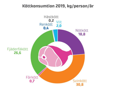Ett pajdiagram som visar hur köttkonsumtionen bland finländarna var fördelade år 2019.