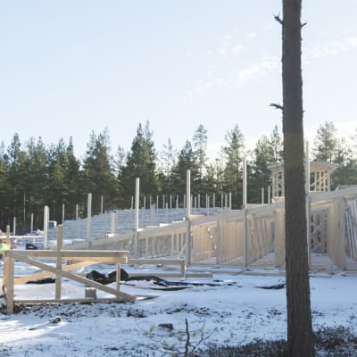 Läktarbygge i Harparskog