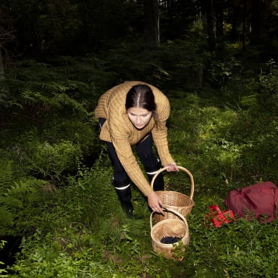 Nea Donner marjastaa ja sienestää metsässä.