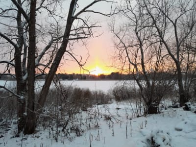 Ett vinterlandskap och en tidig solnedgång över en frusen insjö.