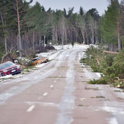 Två bilar i diket på sidan om en väg, stormskadade träd ligger ett virrvar på andra sidan vägen
