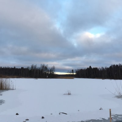 Infjärden i Vasa.