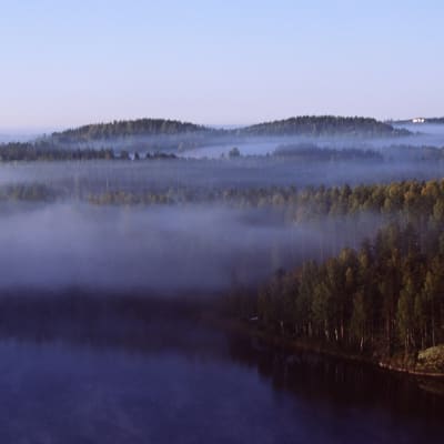 Ett åslandskap i Puumala med skog, sjö och dimma som hänger över trädtopparna.