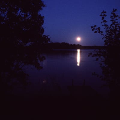 Natt i månsken.