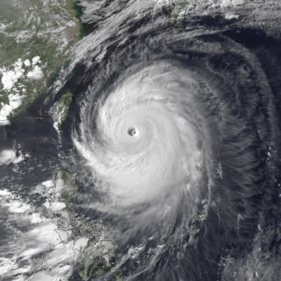 Satellitbild av tyfonen Neoguri som drar in över Japan.