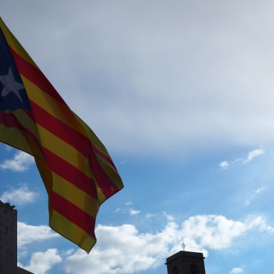 Varianten av Senyeran, den katalanska flaggan, som har en vit stjärna mot ett blå trekant kallas Estelada blava. Den används av de som stöder självständighet.