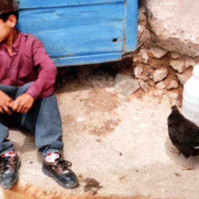 Iranilainen poika istuu maassa oven edessä, vieressään vesikanisterit ja kana.