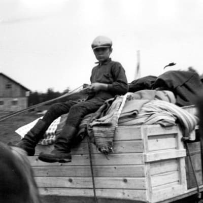 Evakkopoika hevosen ohjaksissa tavarakuorman päällä