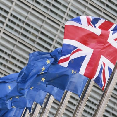 Lipputangoissa liehuu useita EU-lippuja ja yksi Britannian lippu.