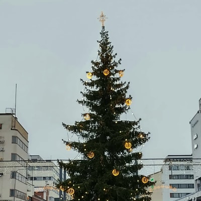 Joulukuusi on koristeltu Vaasan torilla.