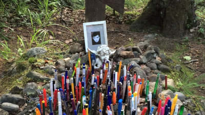 Kymmeniä erilaisia kyniä on jätetty runoilija Pentti Saarikosken haudalle Valamossa Heinävedellä.